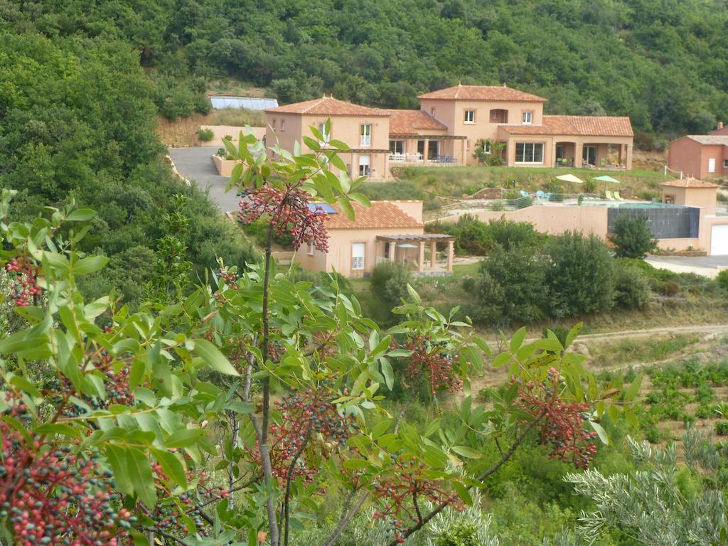Domaine De Flo Adult A Partir De 16 Ans Bed & Breakfast Saint-Jean-de-la-Blaquiere Exterior foto